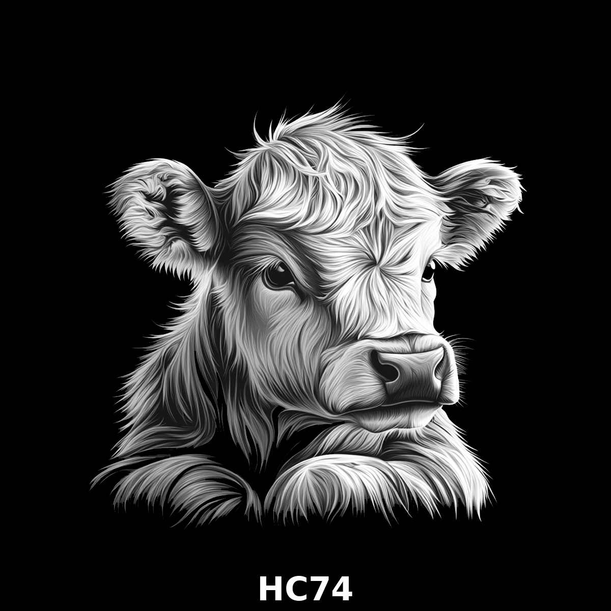 Set of four (4) Highland Cattle Coasters – Rustic Charm for Your Home